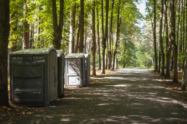 Best Portable bathroom rental  in Skyline View, PA